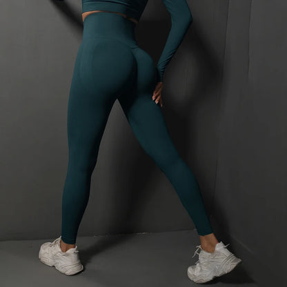 Sia Seamless Tummy Control Leggings