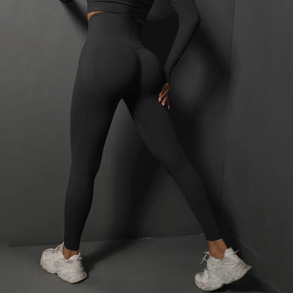 Sia Seamless Tummy Control Leggings